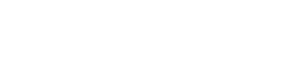 RITSUMEIKANMENSLACROSSE